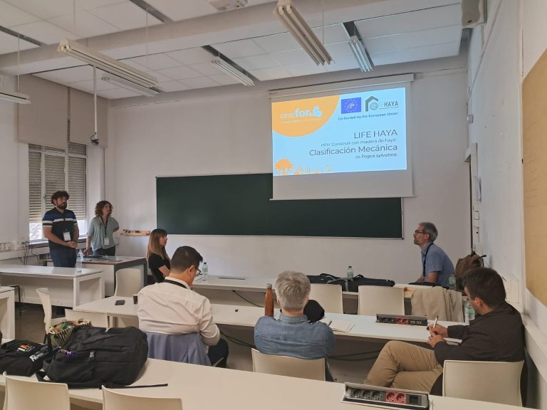 Presentación del proyecto LIFE HAYA sobre clasificación mecánica de madera de haya durante el CIMAD 2024, con un ponente exponiendo frente a una audiencia en una sala de conferencias.