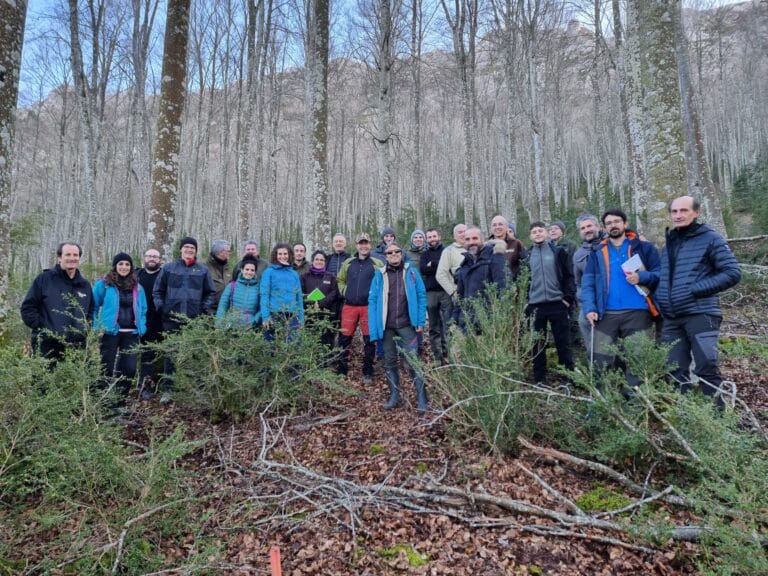 Participantes del primer Comité de Expertos de LIFE HAYA en un hayedo.