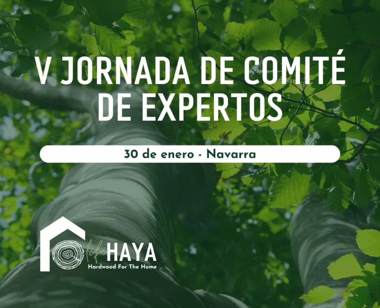 Cartel con el texto “V Jornada de Comité de Expertos – 30 de enero – Navarra” sobre una foto de un haya vista desde el tronco hacia la copa, con el logotipo de LIFE HAYA.