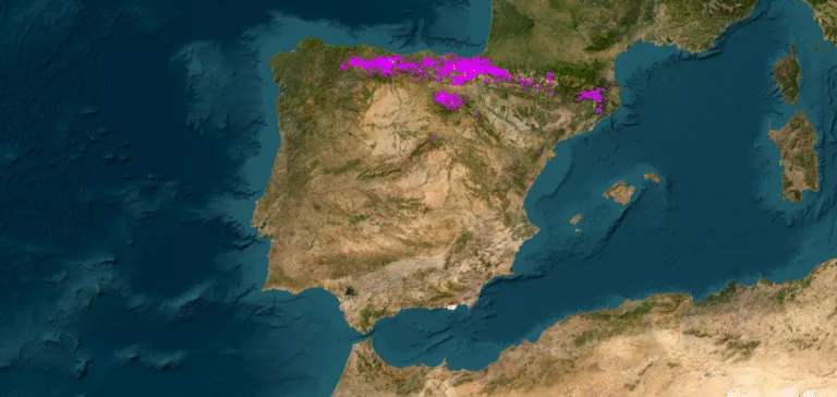 Mapa satelital de España y Portugal con puntos magenta concentrados en la Cordillera Cantábrica y los Pirineos que indican localizaciones de hayedos.